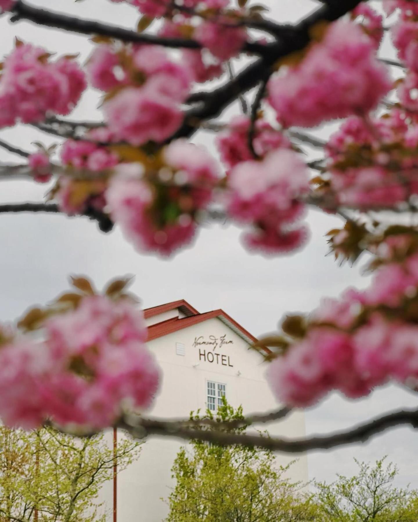 Normandy Farm Hotel & Conference Center Blue Bell Zewnętrze zdjęcie